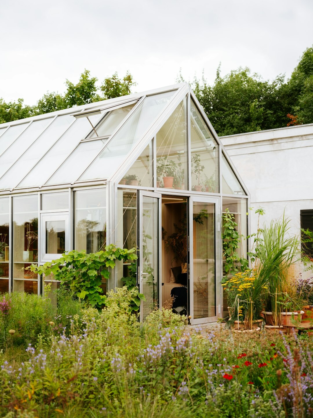Wooden and glass greenhouse standing in a Lithuanian countryside garden