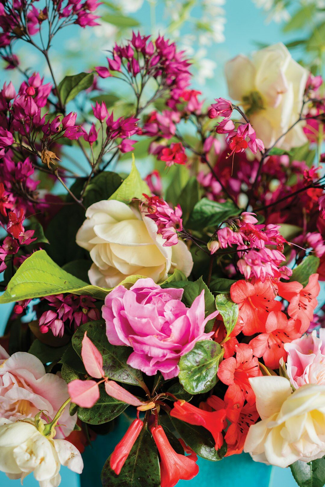 blooming garden flowers