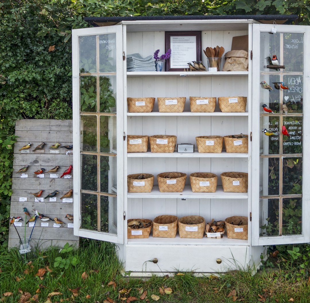 seed storage ideas
