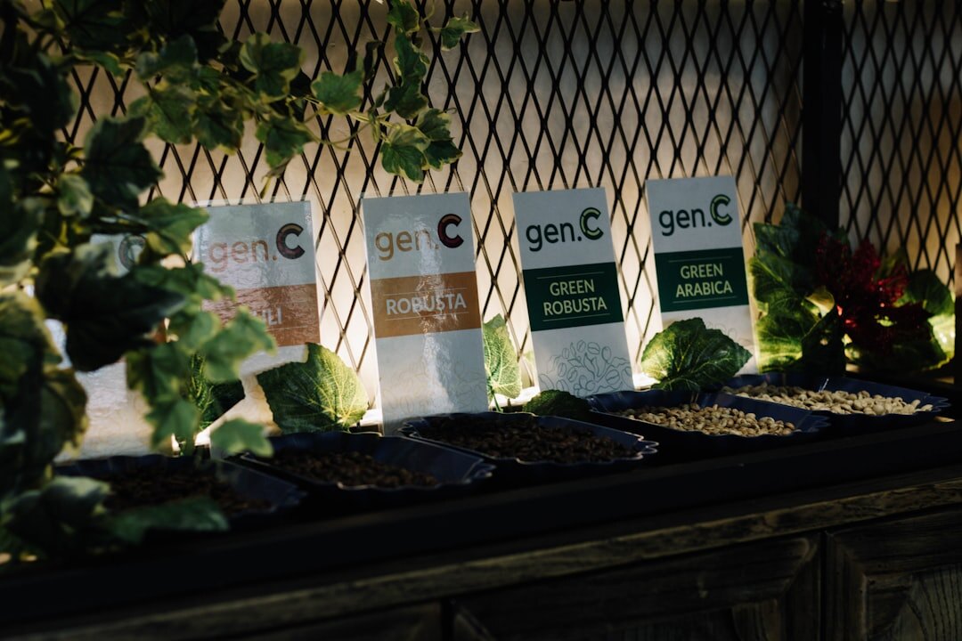 selecting garden seeds