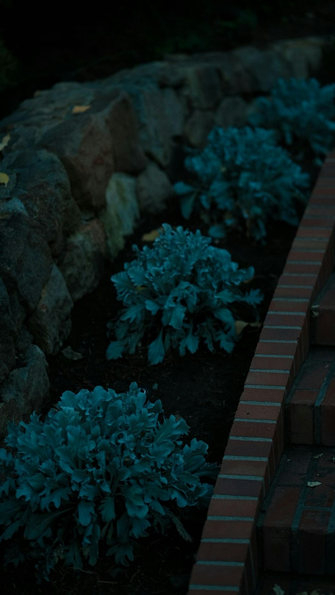 mulch on garden bed