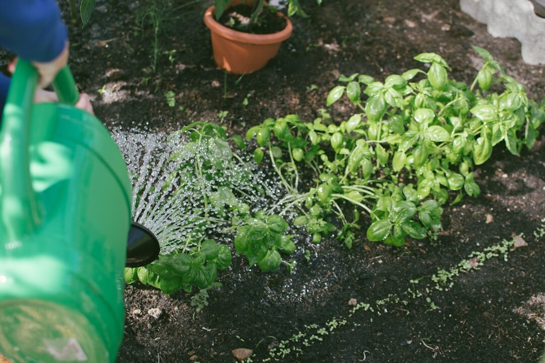 healthy garden plants