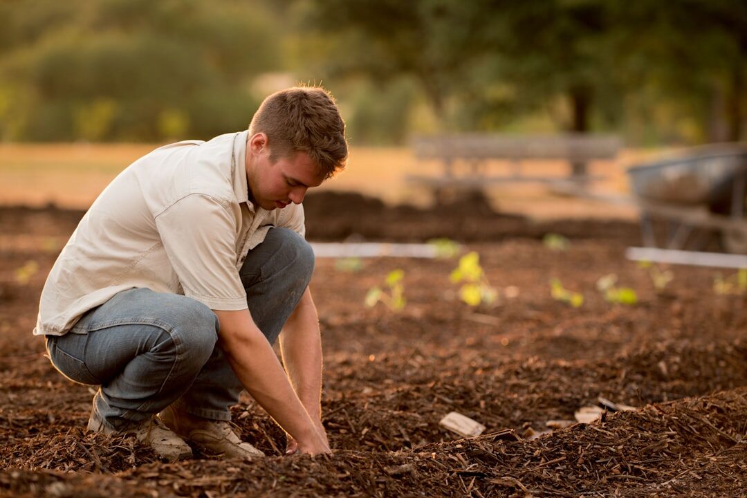 organic garden soil preparation