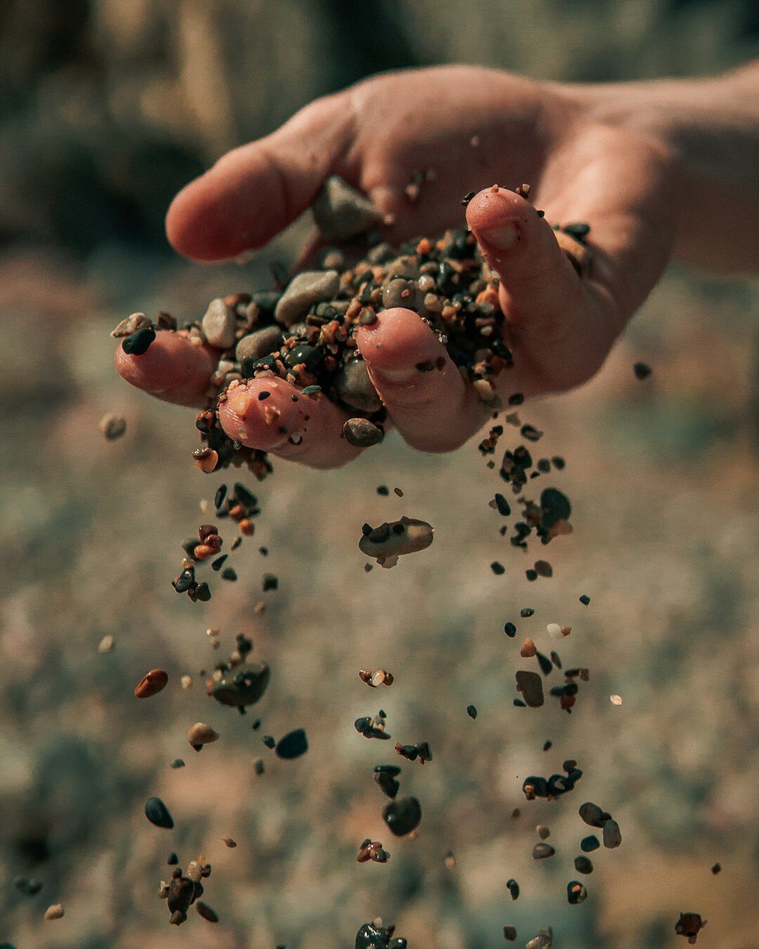 selecting seeds for climate